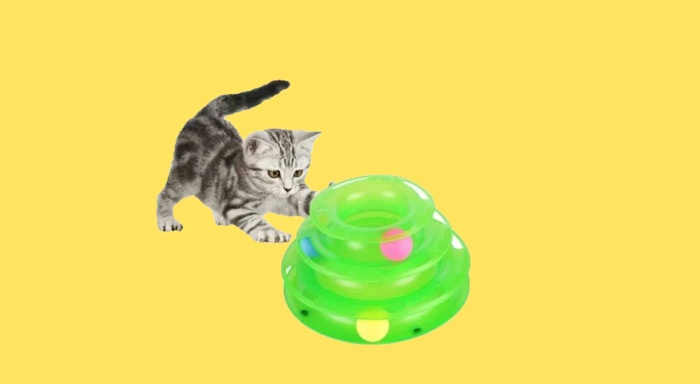 Лучшие гаджеты и развивающие игрушки для кошек