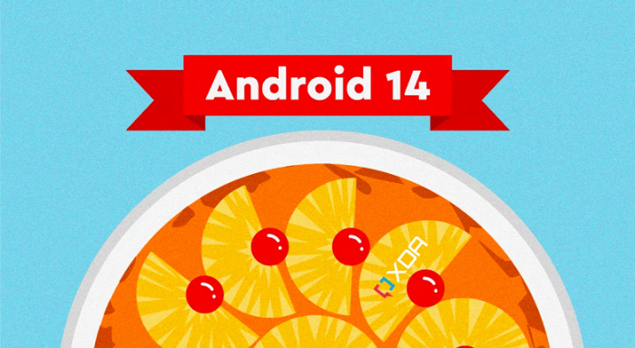 Google анонсировали Android 14, и её уже можно потестить
