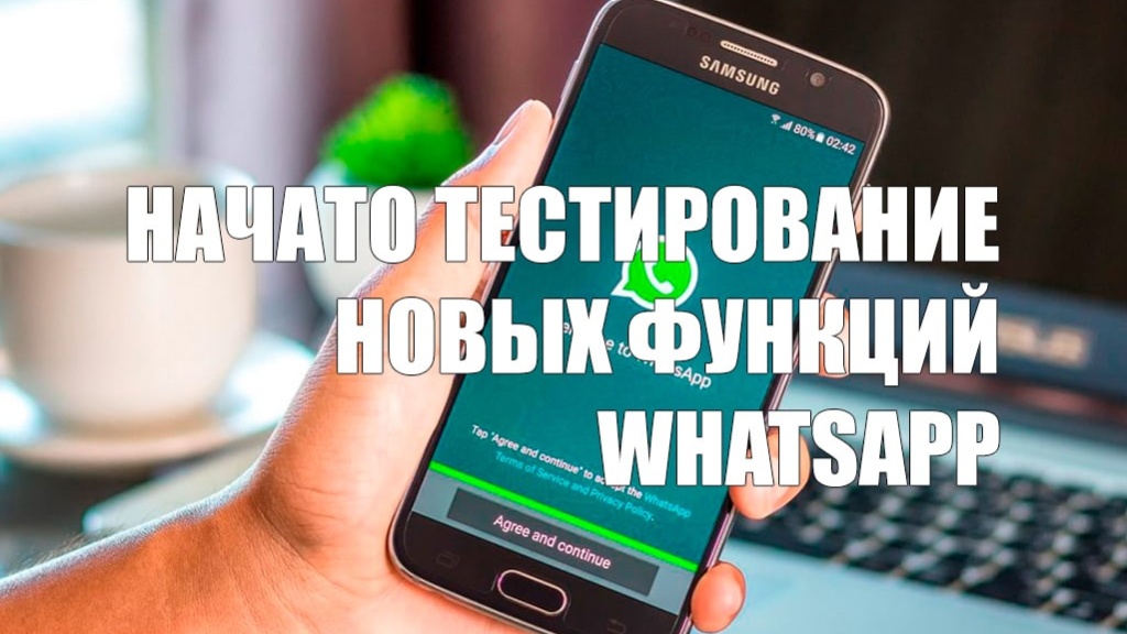 Начато тестирование новых функций WhatsApp