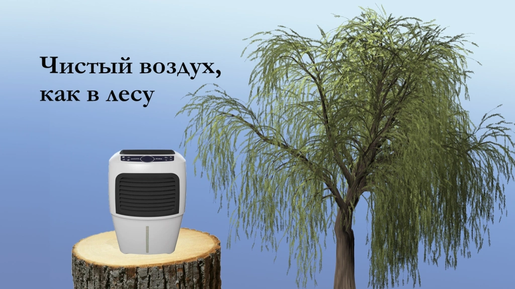 Лучшие мойки воздуха в 2025 году
