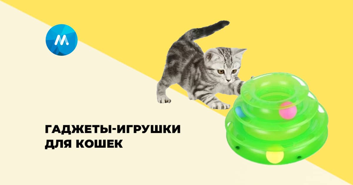 Подборка гаджетов и развивающих игрушек для кошек