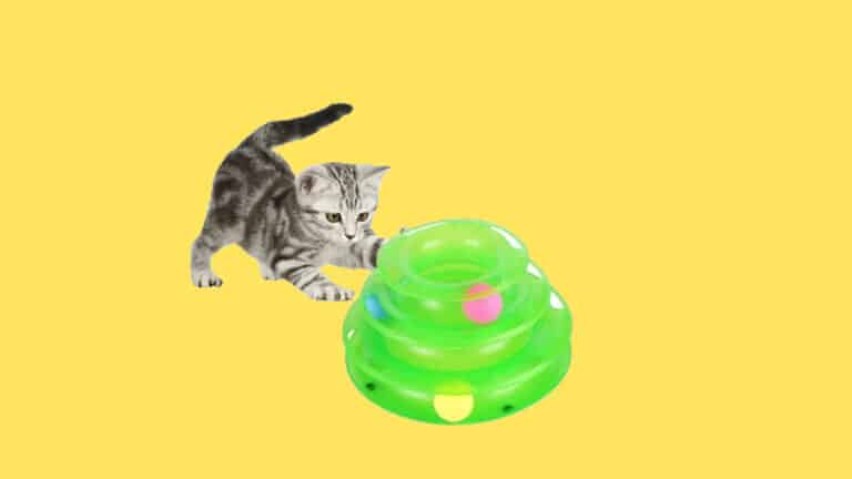 Подборка гаджетов-игрушек для кошек