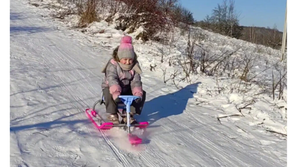 снегокат Nika Kids «Тимка спорт 4-1 Болонка»