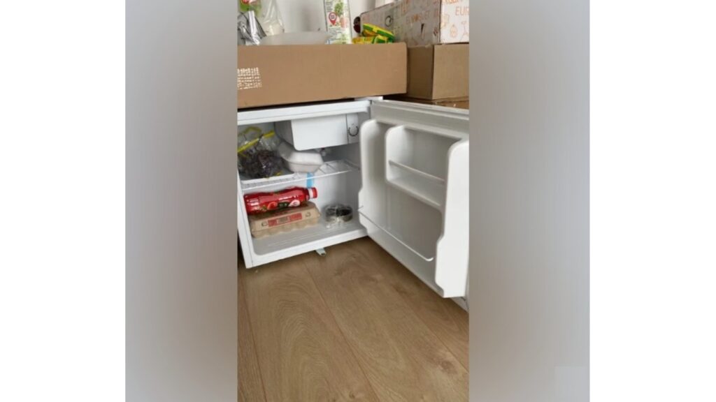 фото холодильника Бирюса Б-50