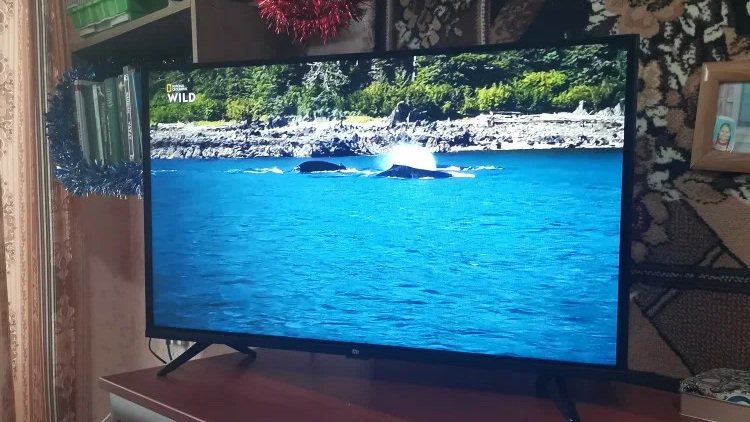 Фото телевизора Xiaomi Mi TV P1 32 2021 LED