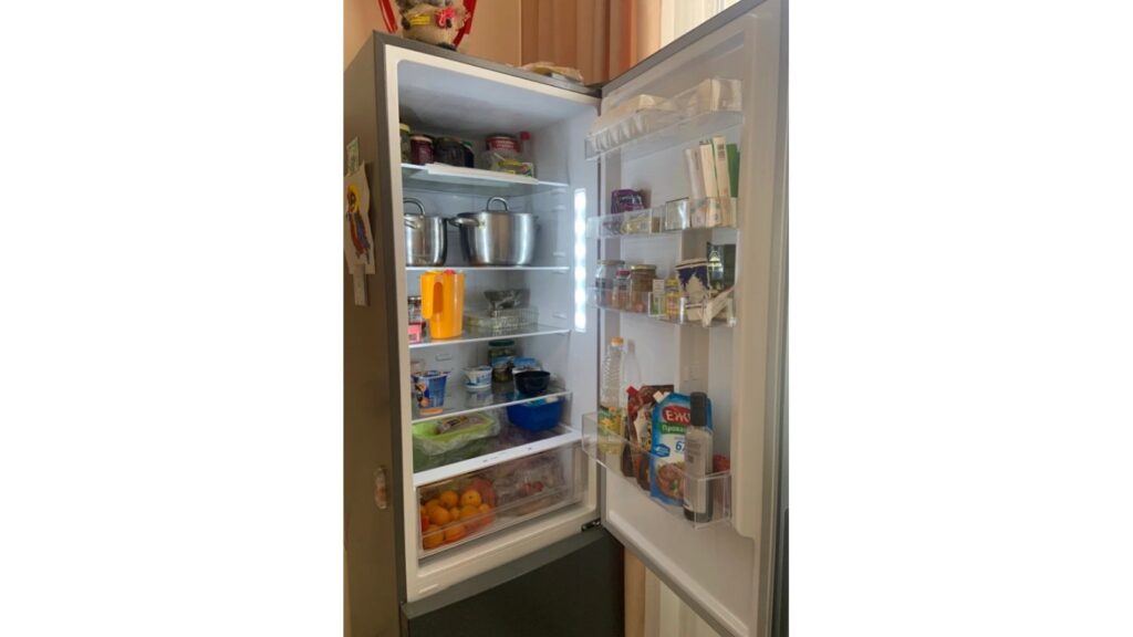 фото холодильника Viomi BCD-351W