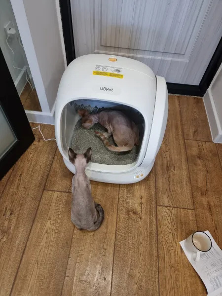 Фото умного лотка для питомцев UBPET C20