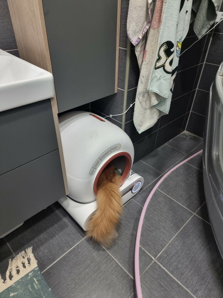 Фото умного лотка для питомцев Zoowell Platform WiFi Ionic