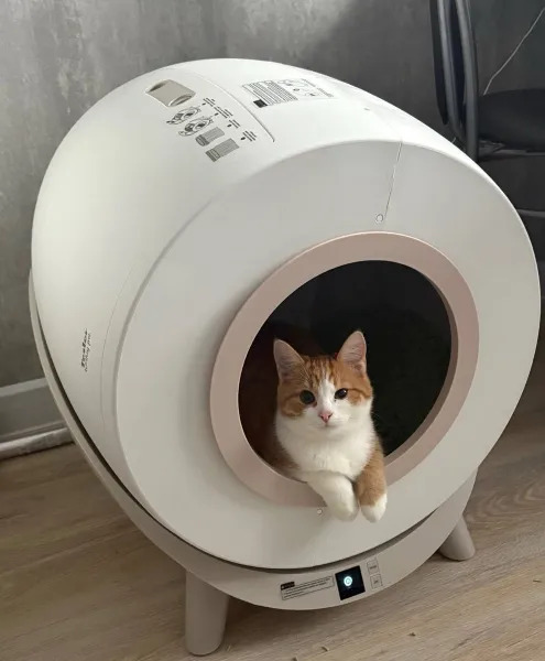 Фото умного лотка для питомцев Tesler Hey Pet PST-001