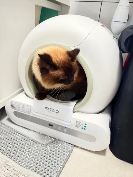 Фото умного лотка для питомцев RED SOLUTION RED FOR PETS 30 S