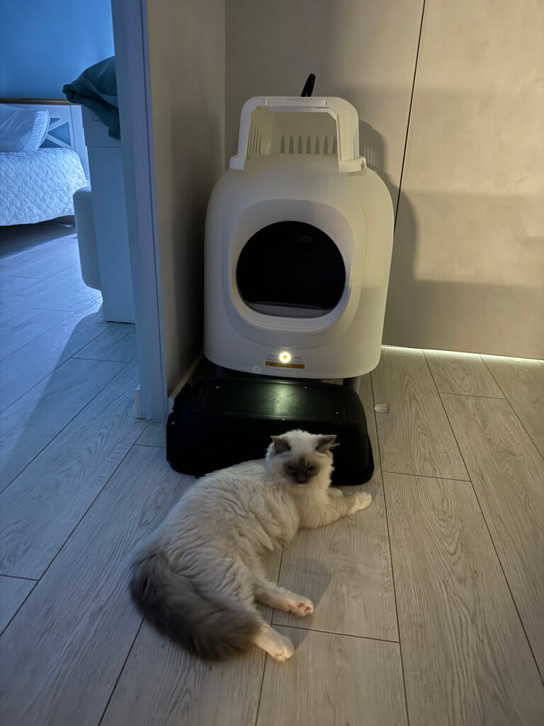 Фото умного лотка для питомцев Petree 3