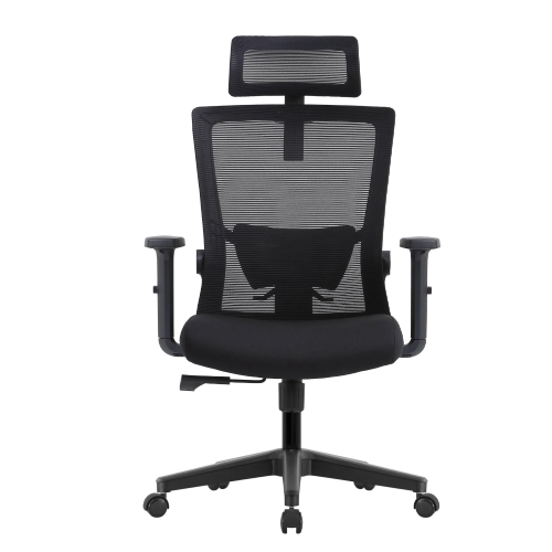 Evolution Ergoline 1