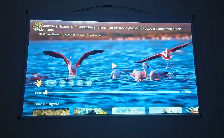 Фото проектора QUORO A6