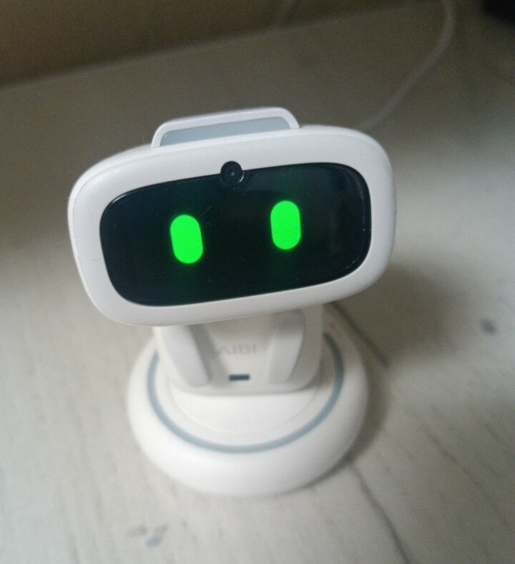 Фото умного робота AIBI