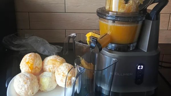 Как выбрать шнековую соковыжималку